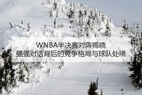 WNBA半决赛对阵揭晓 强强对话背后的竞争格局与球队处境 - ayx